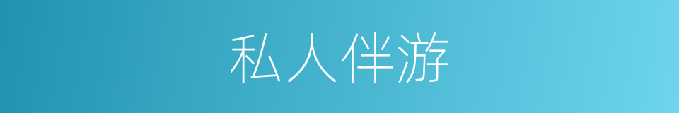 私人伴游的同义词