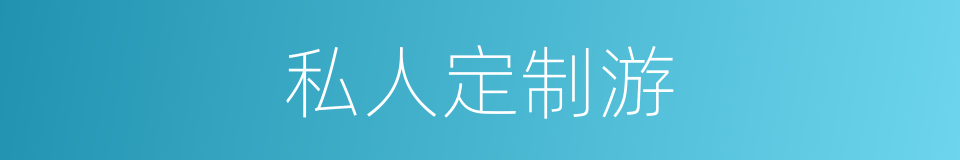 私人定制游的同义词