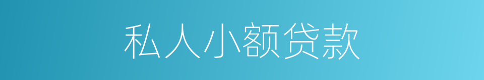 私人小额贷款的同义词