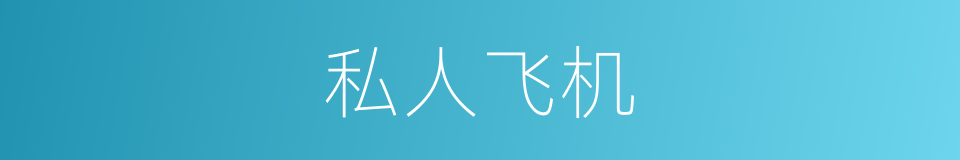 私人飞机的同义词