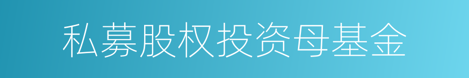 私募股权投资母基金的同义词