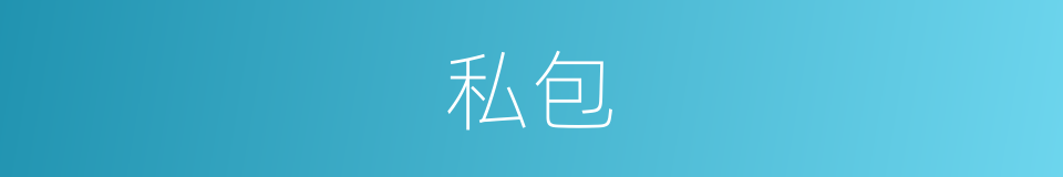 私包的同义词