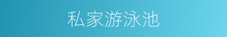 私家游泳池的同义词