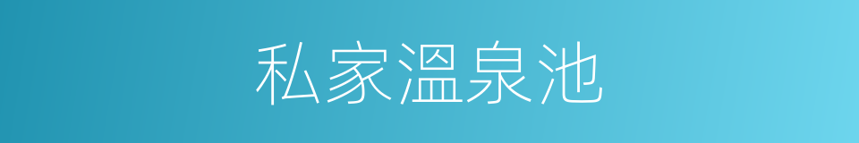 私家溫泉池的同義詞