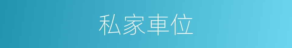 私家車位的同義詞