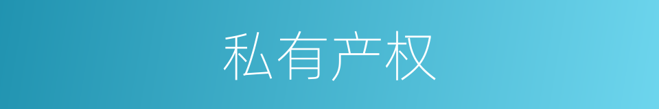 私有产权的同义词