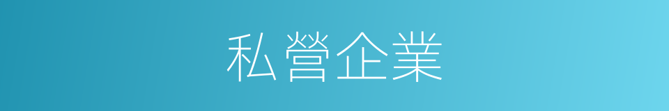 私營企業的意思
