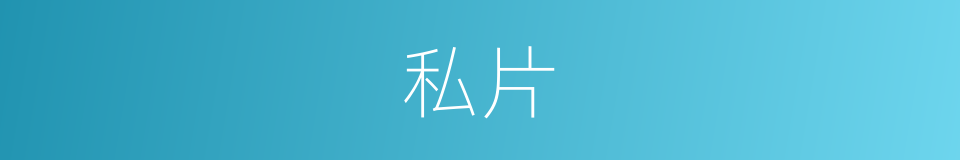 私片的同义词