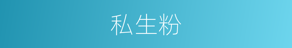 私生粉的意思