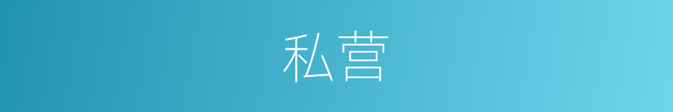 私营的意思