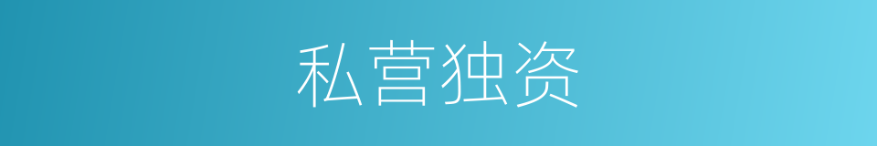私营独资的同义词