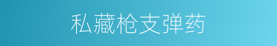 私藏枪支弹药的同义词