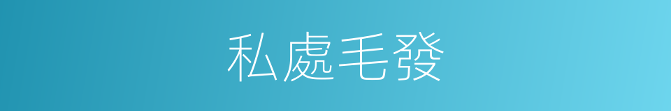私處毛發的同義詞