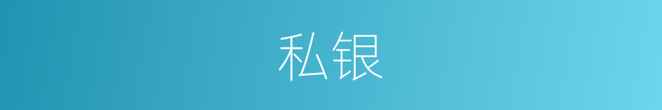 私银的同义词