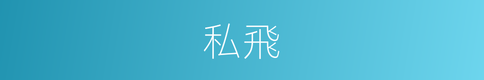 私飛的同義詞