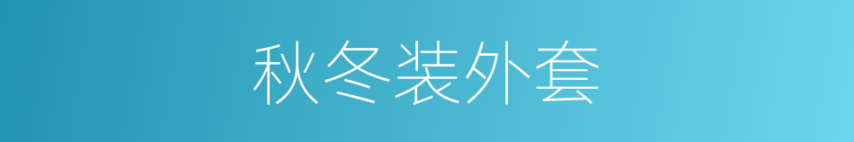 秋冬装外套的同义词