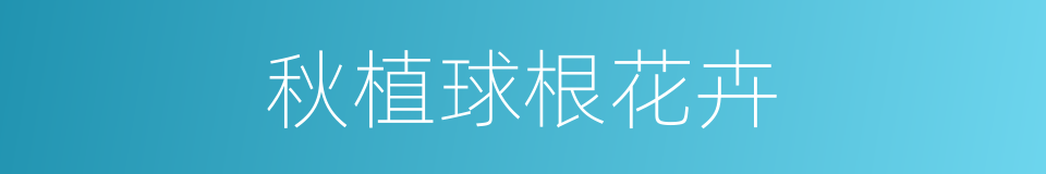 秋植球根花卉的同义词