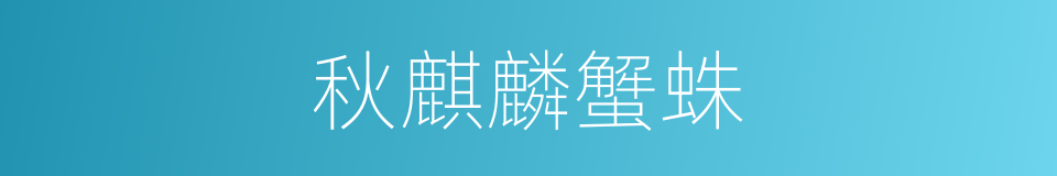 秋麒麟蟹蛛的同义词