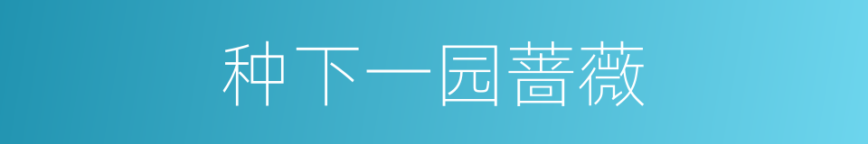 种下一园蔷薇的同义词