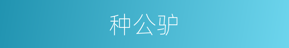 种公驴的同义词