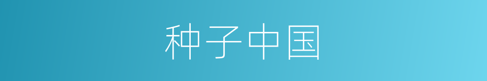 种子中国的同义词