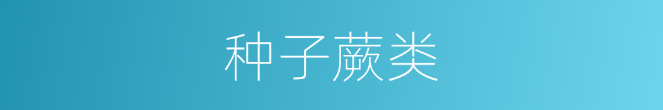 种子蕨类的同义词