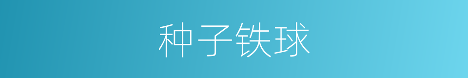 种子铁球的同义词