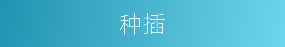 种插的意思