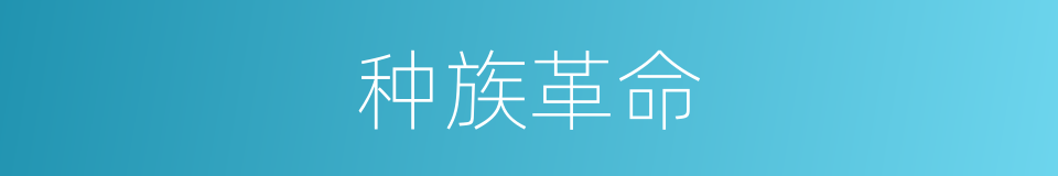 种族革命的意思