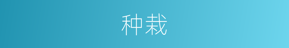 种栽的意思