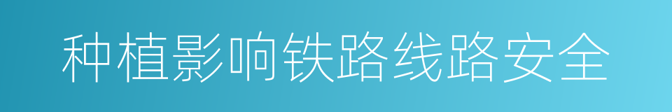 种植影响铁路线路安全的同义词