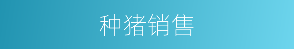种猪销售的同义词