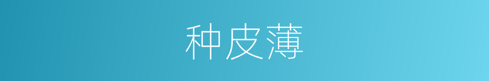 种皮薄的同义词