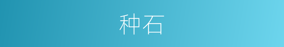 种石的意思