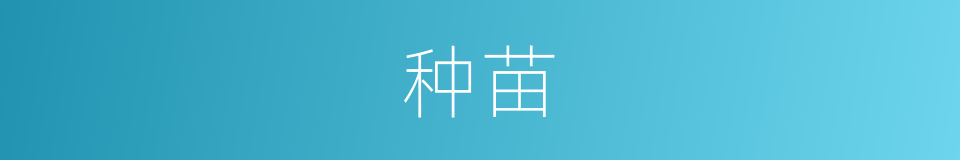 种苗的意思