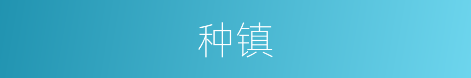 种镇的同义词
