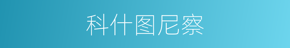 科什图尼察的同义词