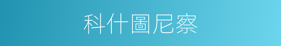 科什圖尼察的同義詞
