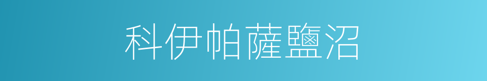 科伊帕薩鹽沼的同義詞