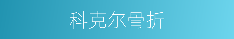 科克尔骨折的同义词