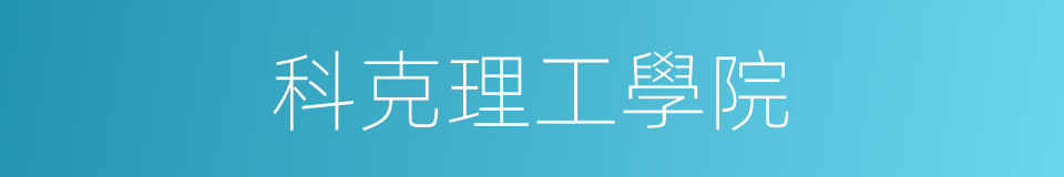 科克理工學院的同義詞