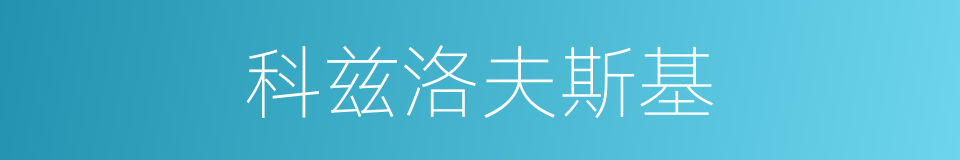 科兹洛夫斯基的同义词