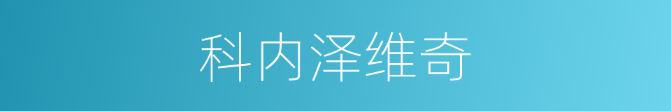 科内泽维奇的同义词