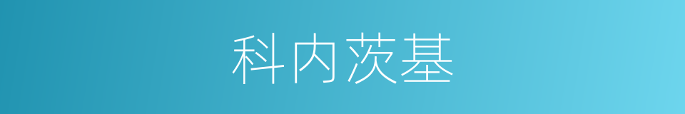 科内茨基的同义词