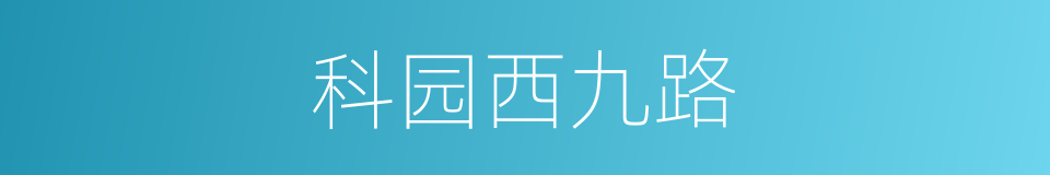 科园西九路的同义词