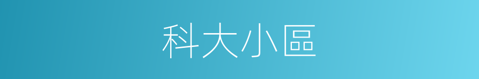 科大小區的同義詞