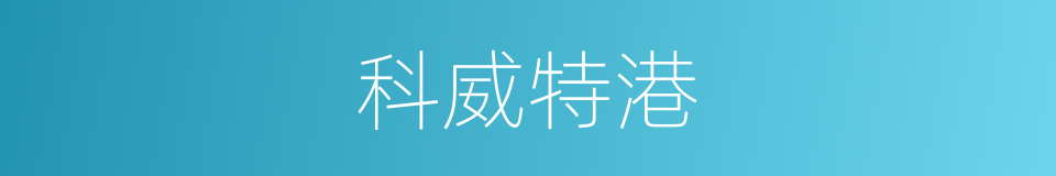 科威特港的同义词