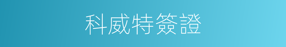 科威特簽證的同義詞