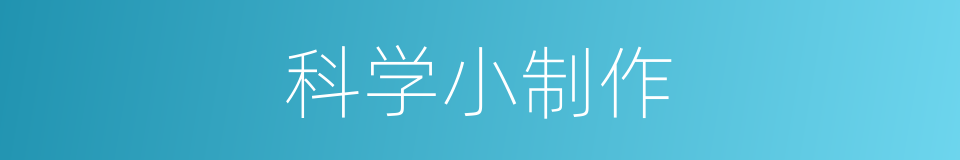 科学小制作的同义词