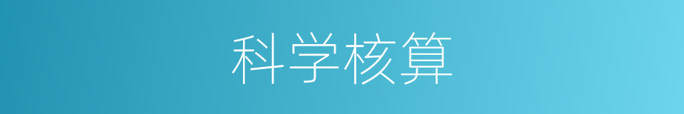 科学核算的同义词